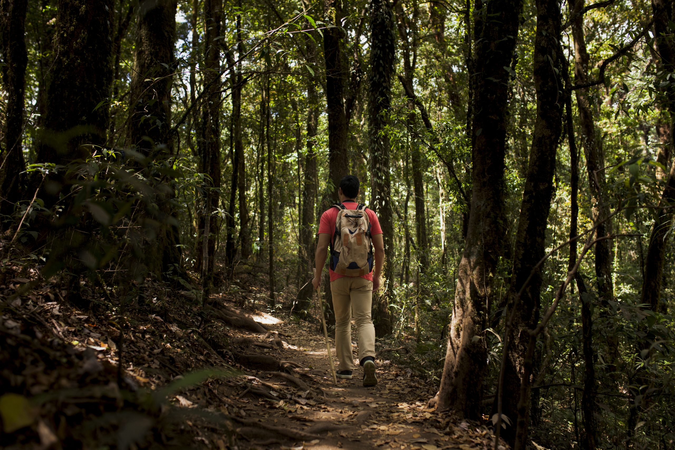 03 Descubra as Trilhas de Caminhada Mais Deslumbrantes do Mundo - Aventuras Imperdíveis para os Amantes da Natureza​